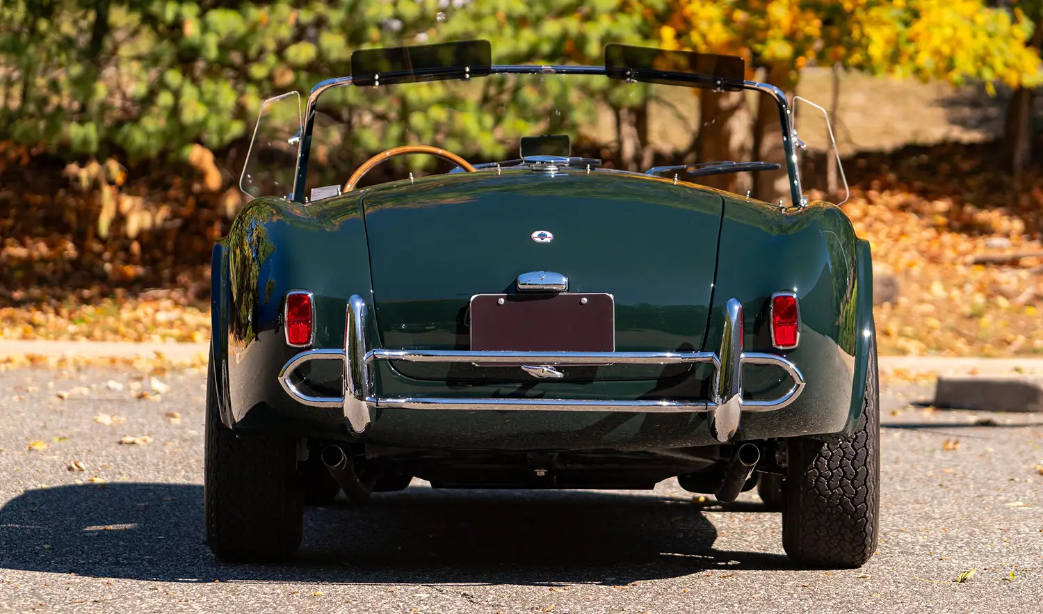 1964 Shelby 289 Cobra 1964 Shelby 289 Cobra