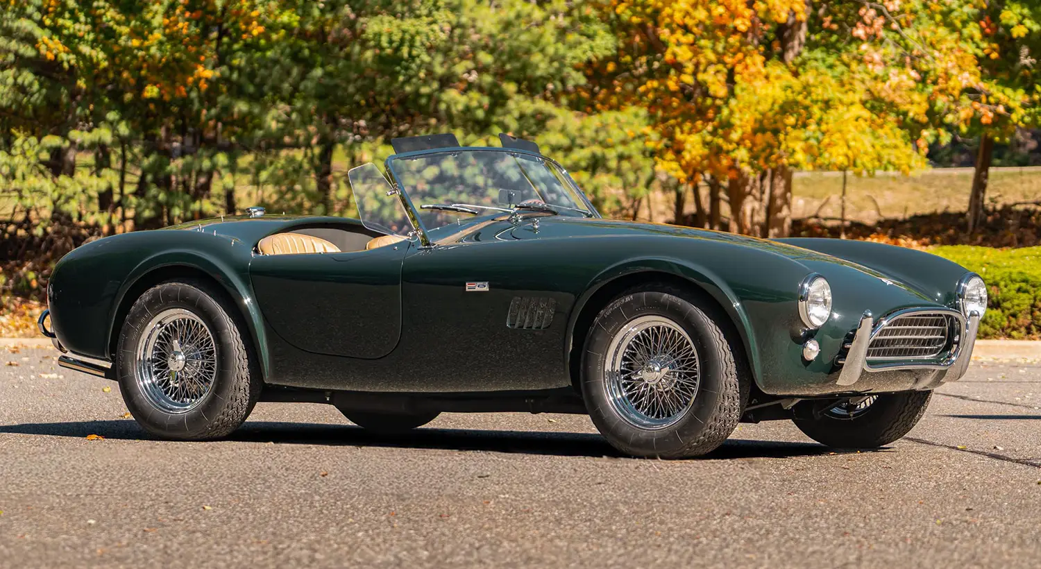 1964 Shelby 289 Cobra 1964 Shelby 289 Cobra