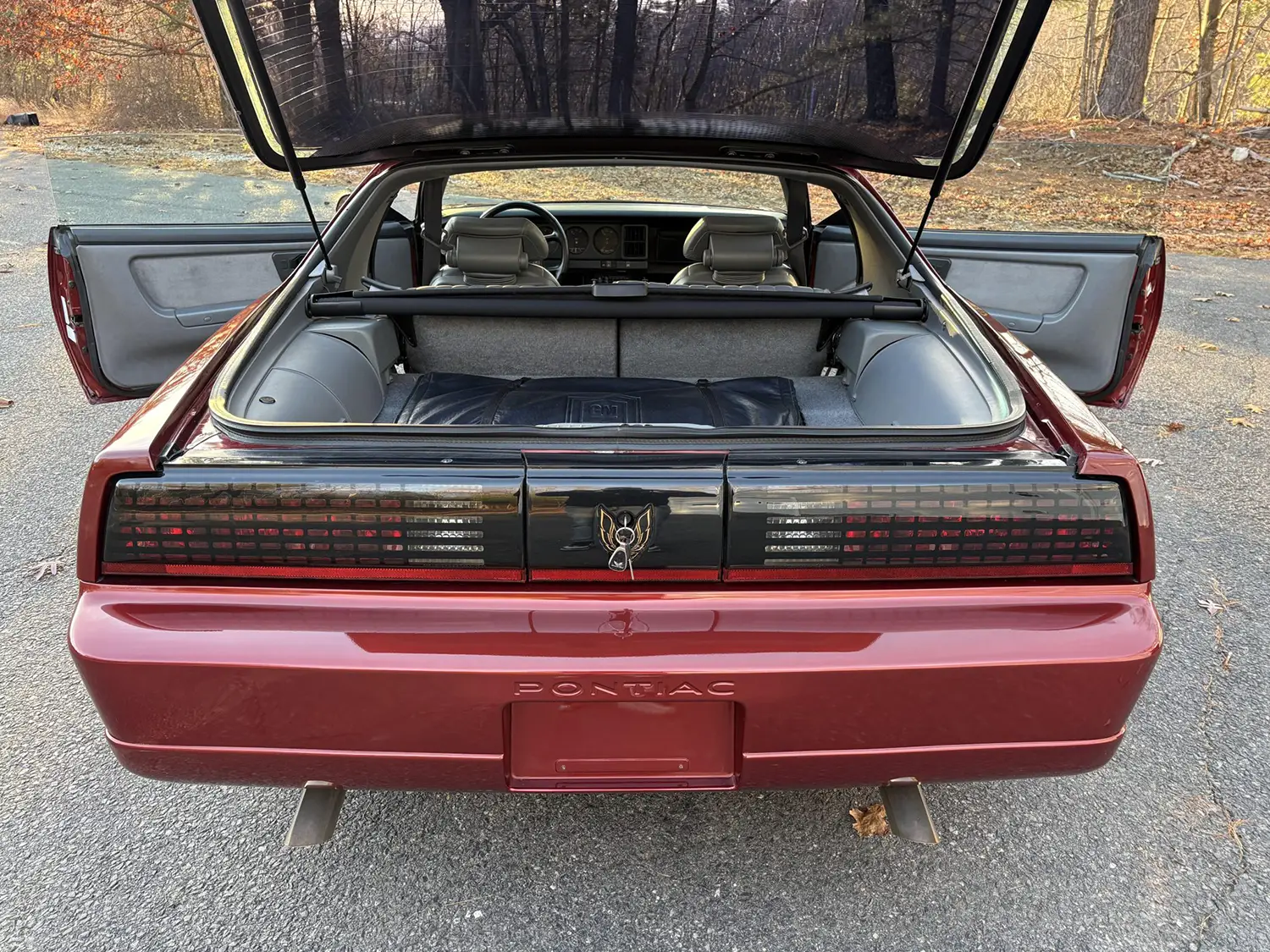 1989 Pontiac Firebird Trans Am GTA 1989 Pontiac Firebird Trans Am GTA