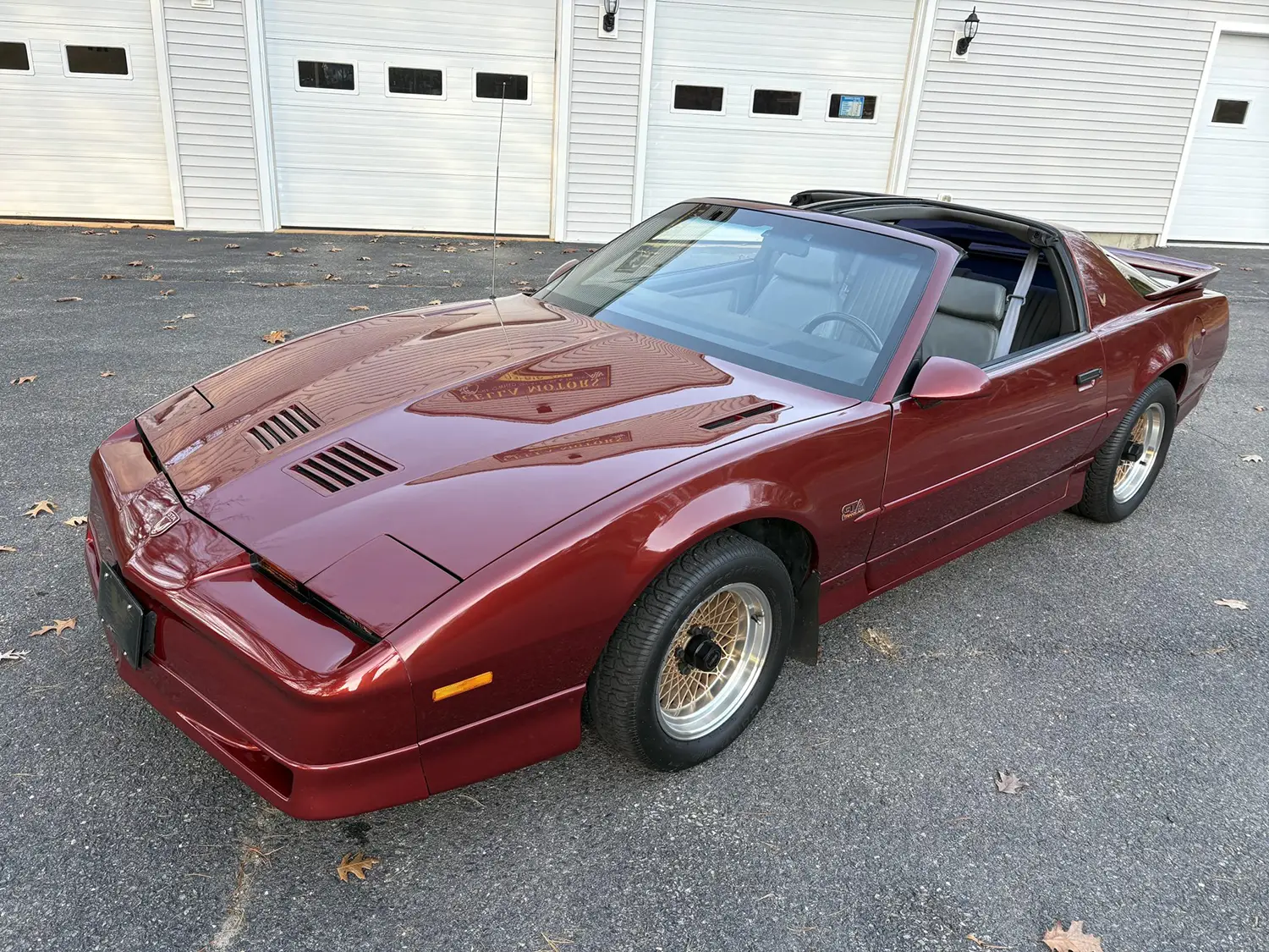 1989 Pontiac Firebird Trans Am GTA 1989 Pontiac Firebird Trans Am GTA