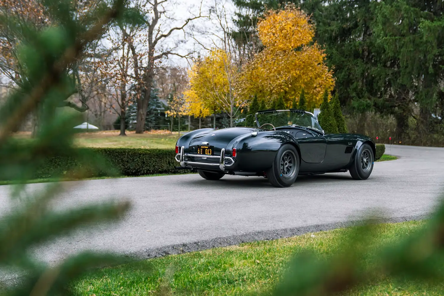 1966 Shelby 427 Cobra Narrow Hip