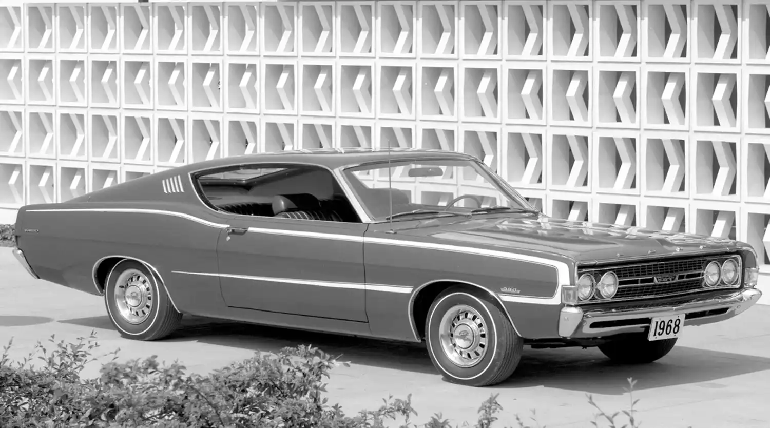 Ford Torino