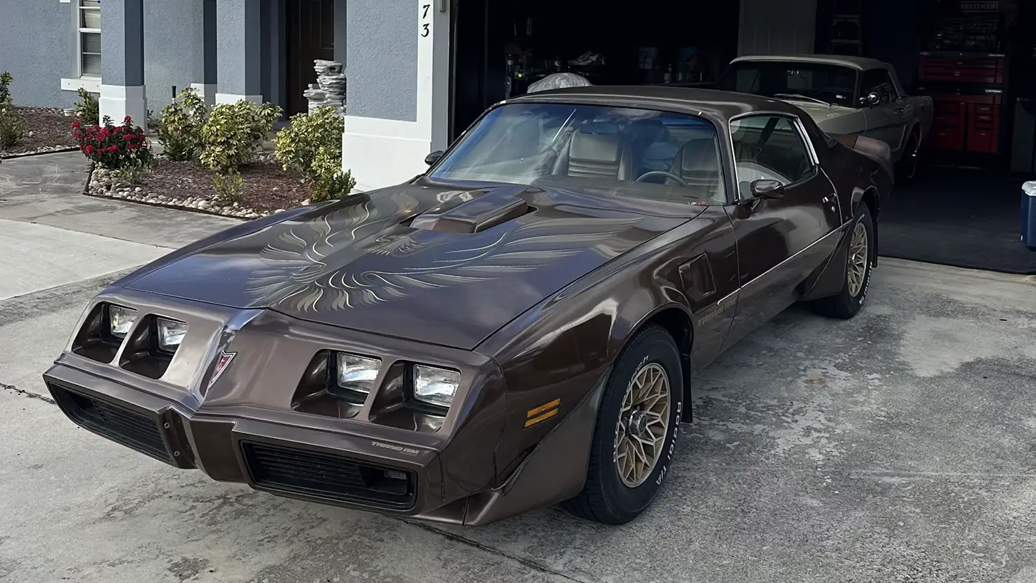 1979 Pontiac Trans Am Coupe 1979 Pontiac Trans Am Coupe