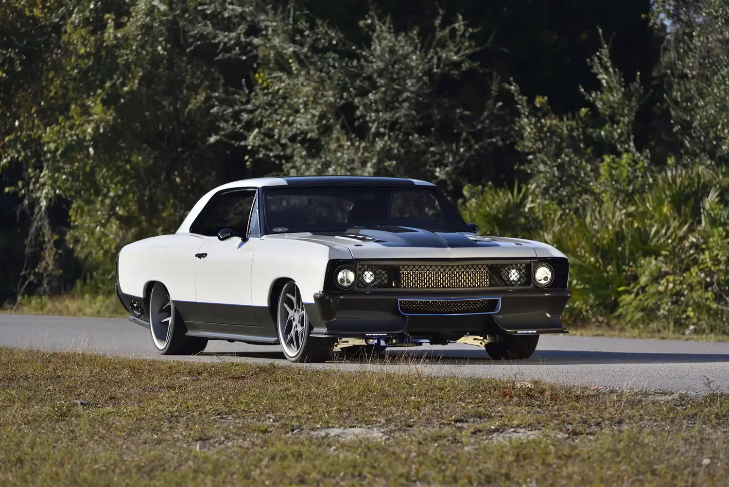 1967 Chevrolet Chevelle Custom