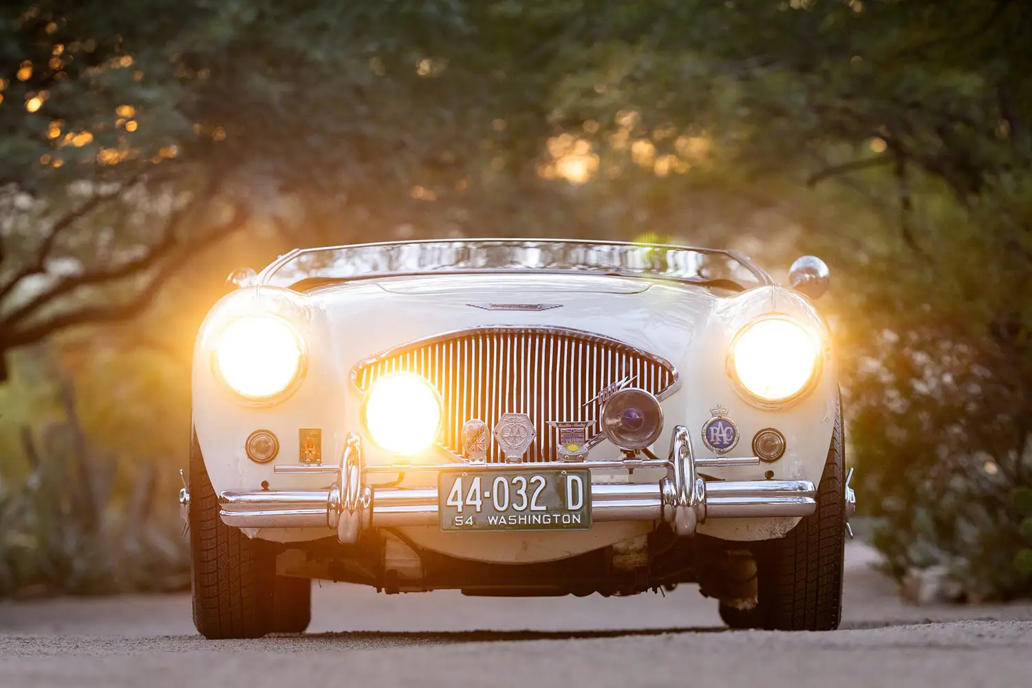 1955 Austin-Healey 100 BN1 Roadster 1955 Austin-Healey 100 BN1 Roadster