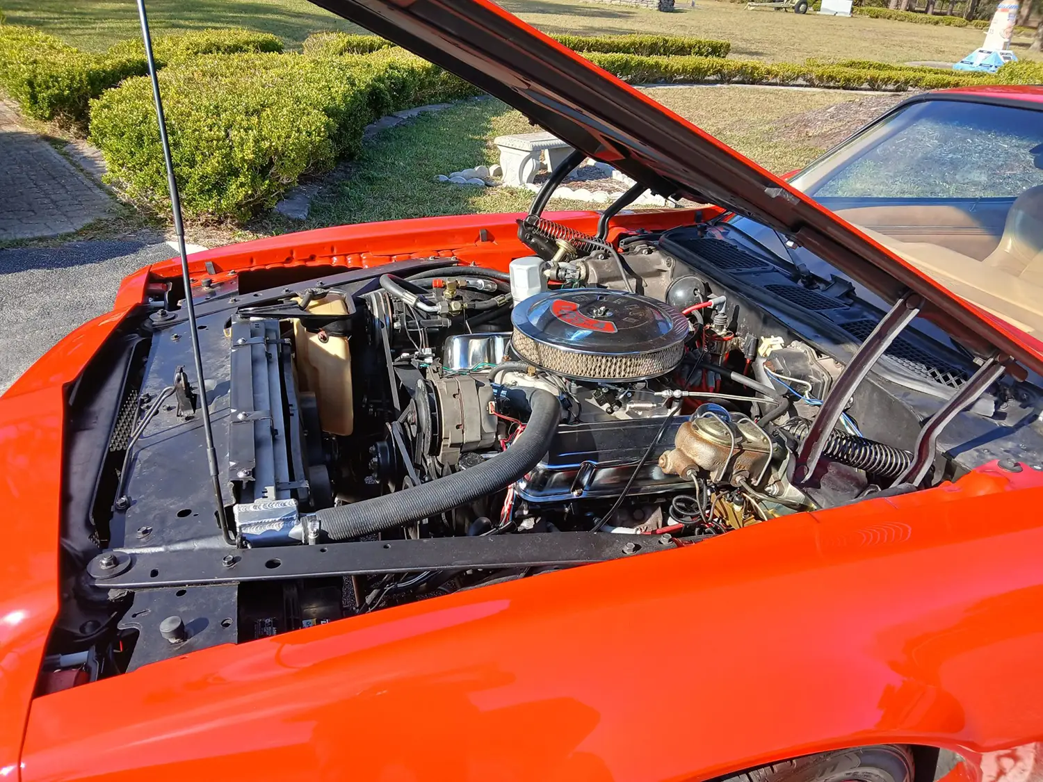 1973 Pontiac Firebird Formula 455