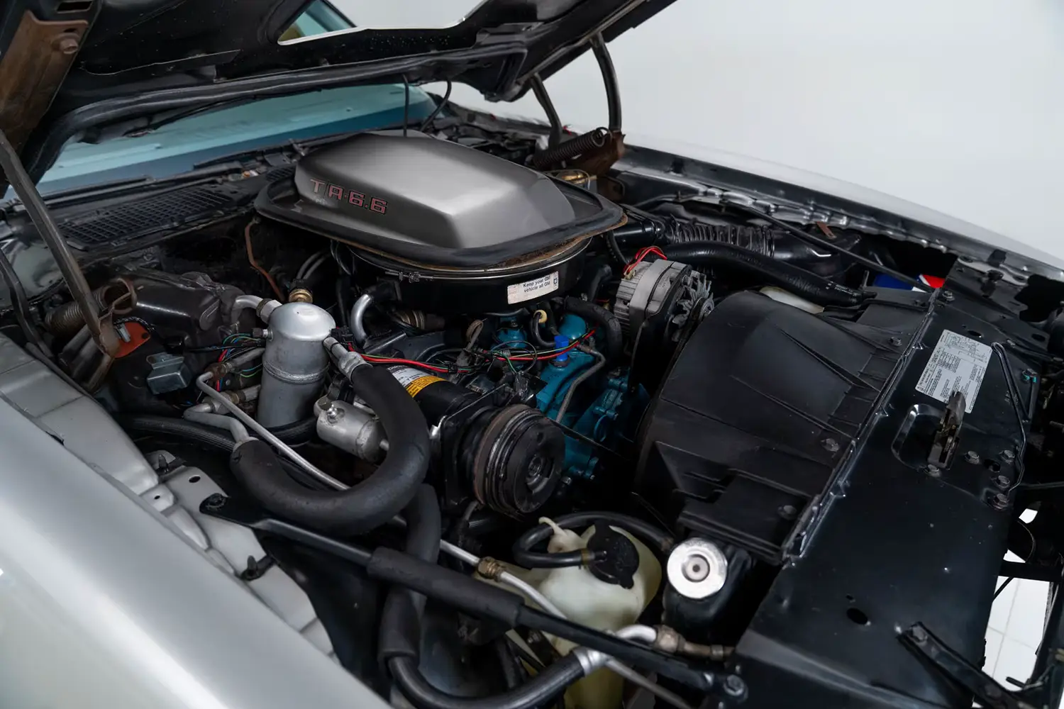 1979 Pontiac Trans Am 10th Anniversary