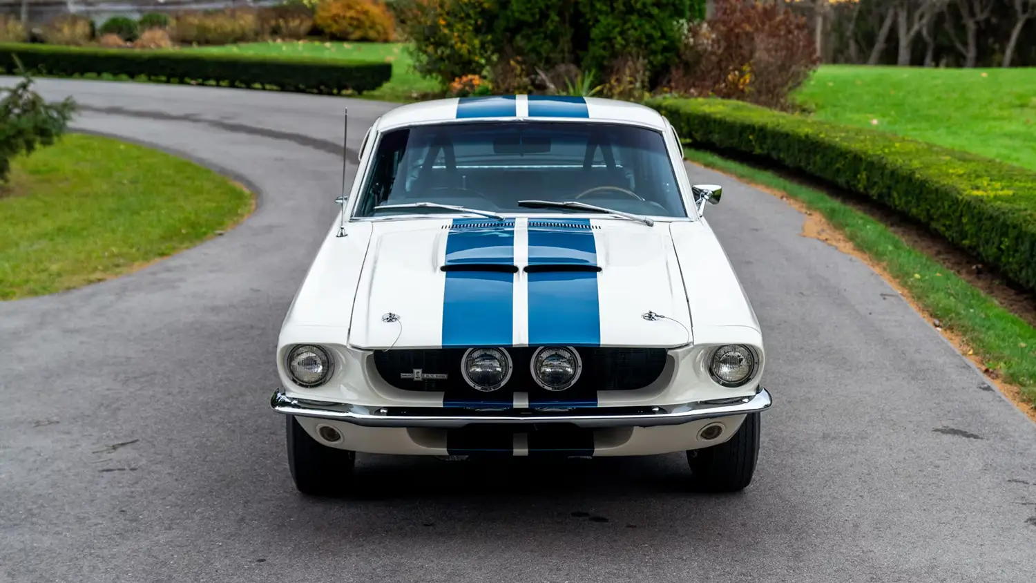 1967 Shelby GT500 Fastback 1967 Shelby GT500 Fastback