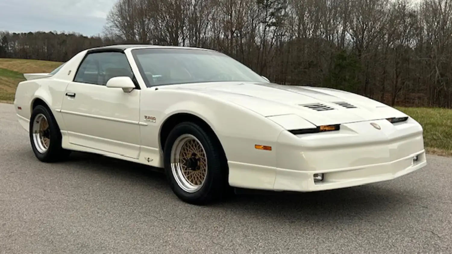 1989 Pontiac Trans Am Pace Car Edition 1989 Pontiac Trans Am Pace Car Edition