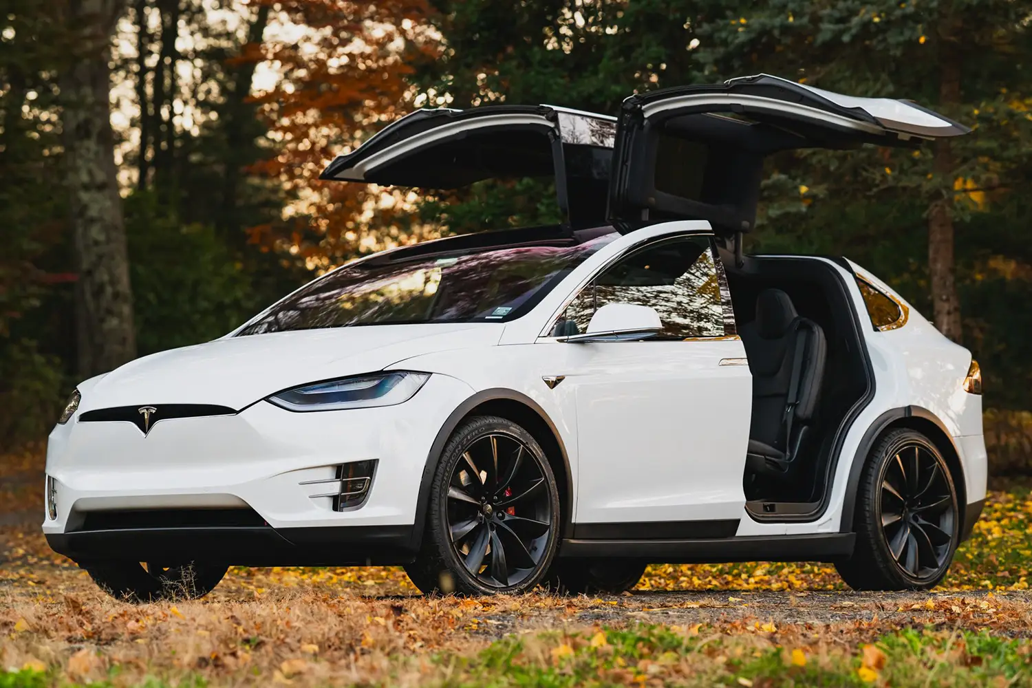 2018 Tesla Model X P100D Ludicrous 2018 Tesla Model X P100D Ludicrous