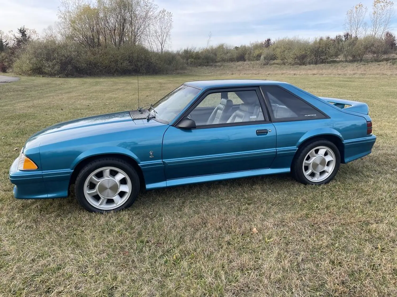 1993 Ford Mustang SVT Cobra
