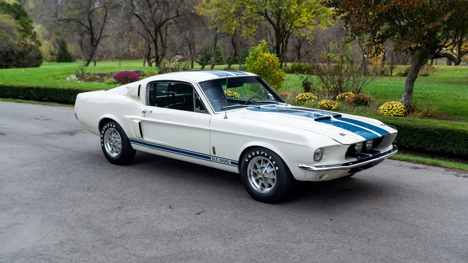 1967 Shelby GT500 Fastback 1967 Shelby GT500 Fastback