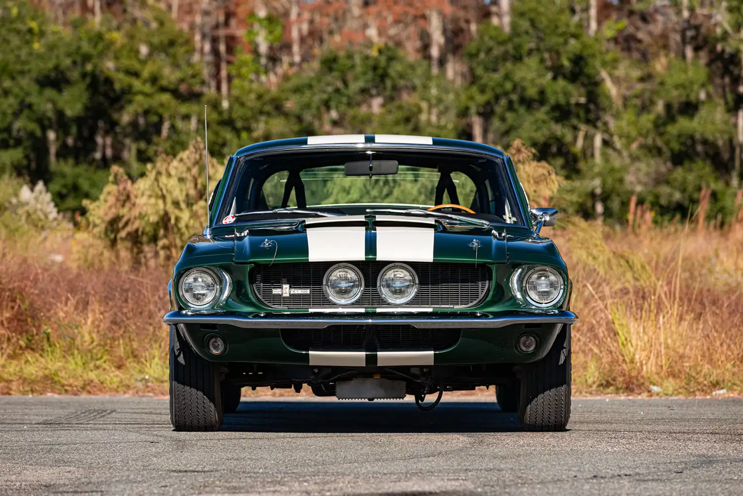 1967 Shelby GT500 Fastback