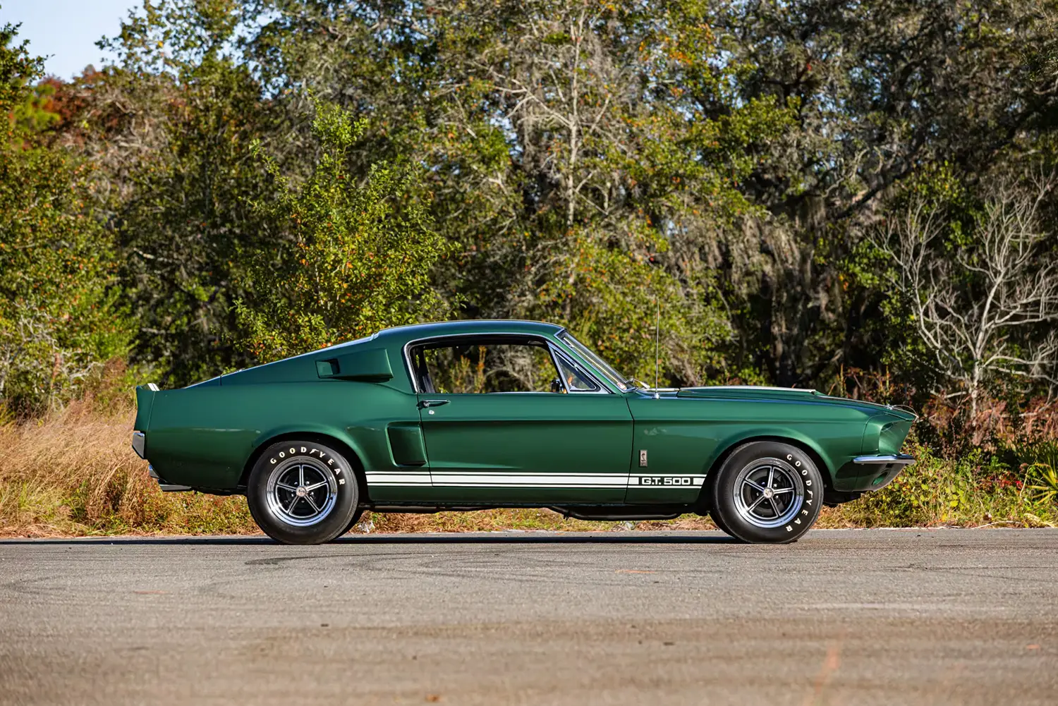 1967 Shelby GT500 Fastback