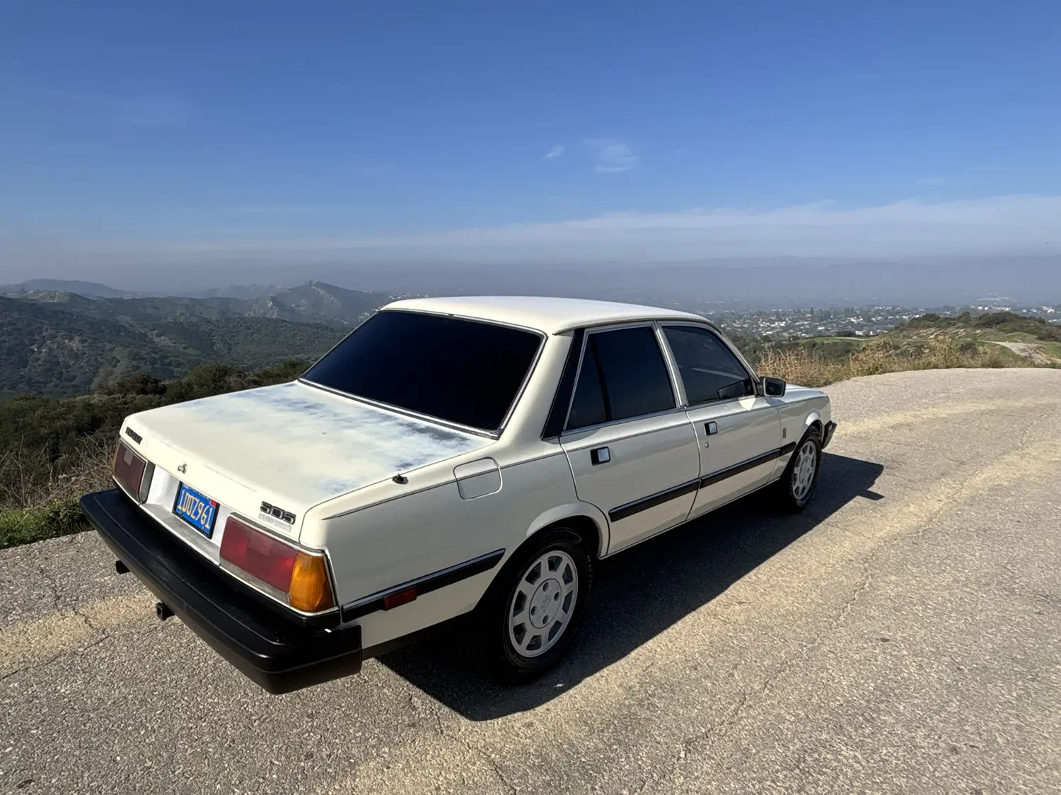 1981 Peugeot 505 Turbo Diesel 1981 Peugeot 505 Turbo Diesel