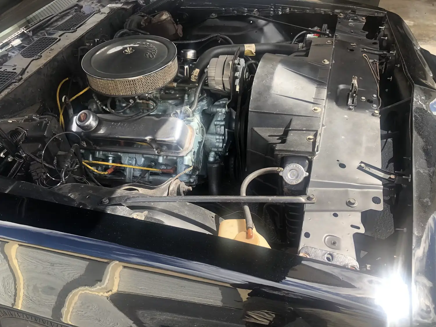 1979 Pontiac Firebird Coupe