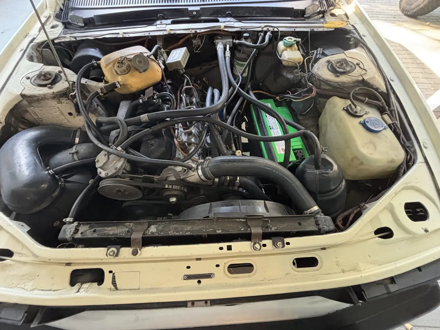 1981 Peugeot 505 Turbo Diesel 1981 Peugeot 505 Turbo Diesel