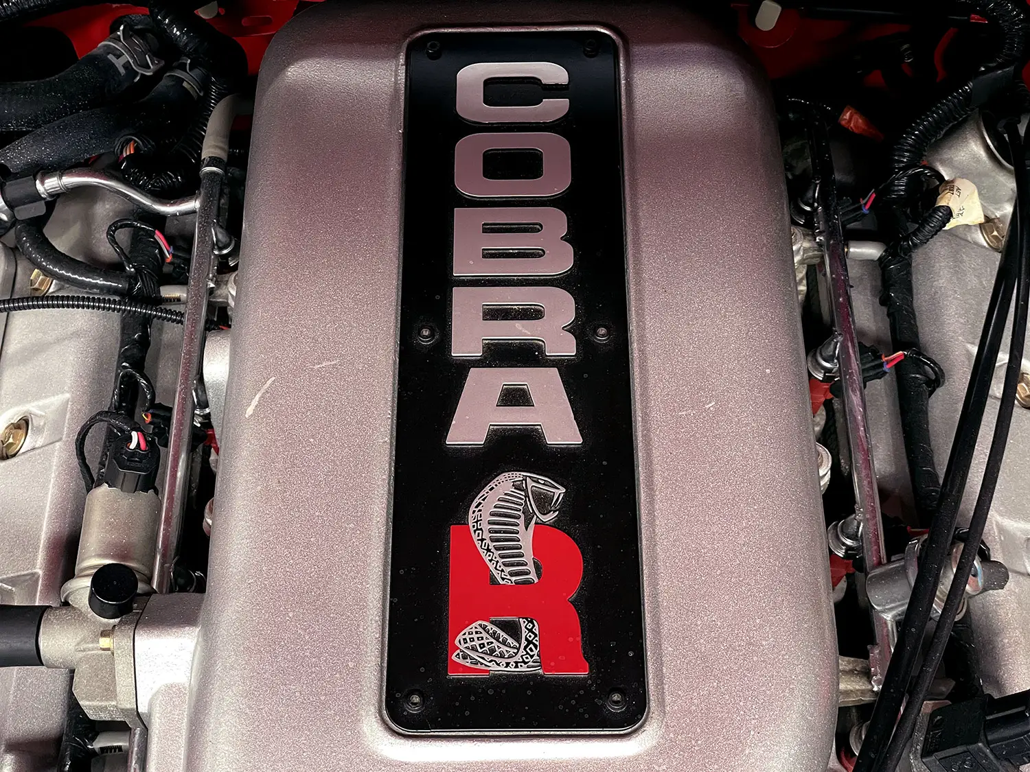 2000 Ford Mustang SVT Cobra R