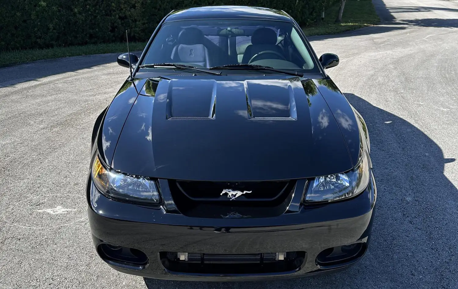2004 Ford Mustang SVT Cobra Coupe 2004 Ford Mustang SVT Cobra Coupe