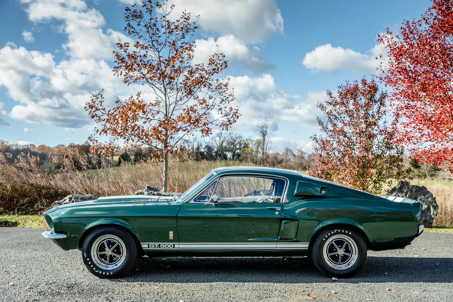 1967 Shelby Mustang GT500 1967 Shelby Mustang GT500