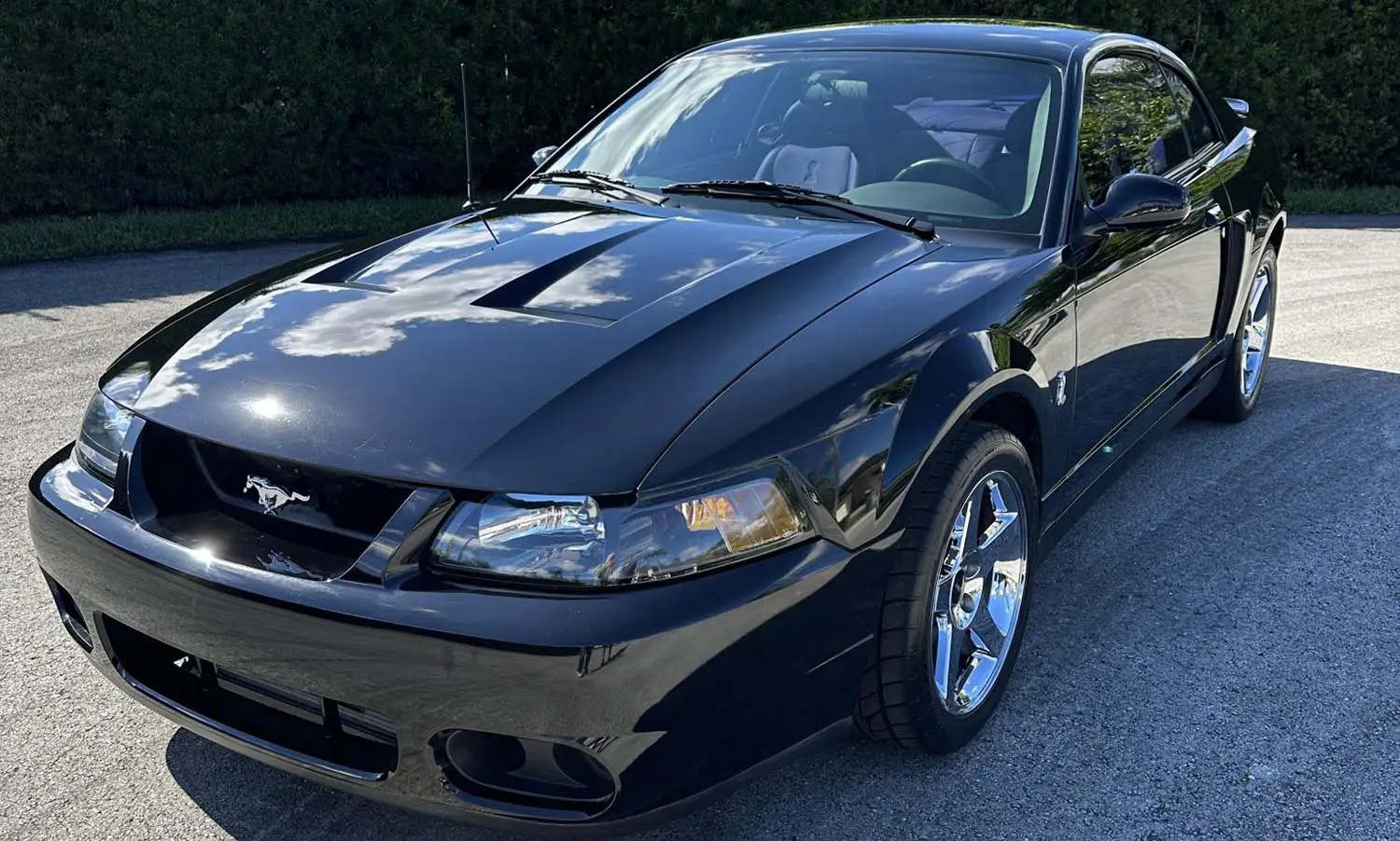 2004 Ford Mustang SVT Cobra Coupe 2004 Ford Mustang SVT Cobra Coupe