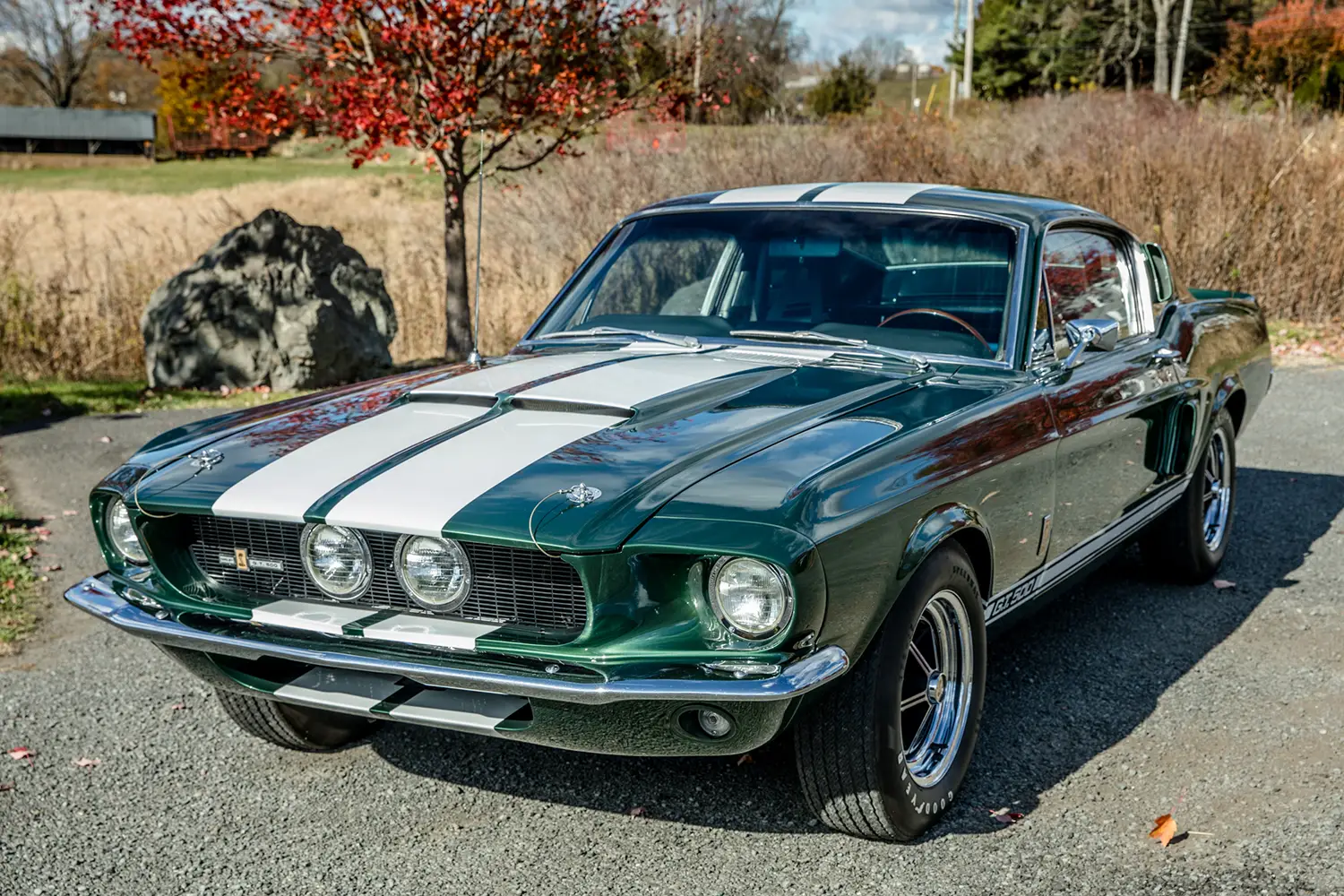 1967 Shelby Mustang GT500 1967 Shelby Mustang GT500