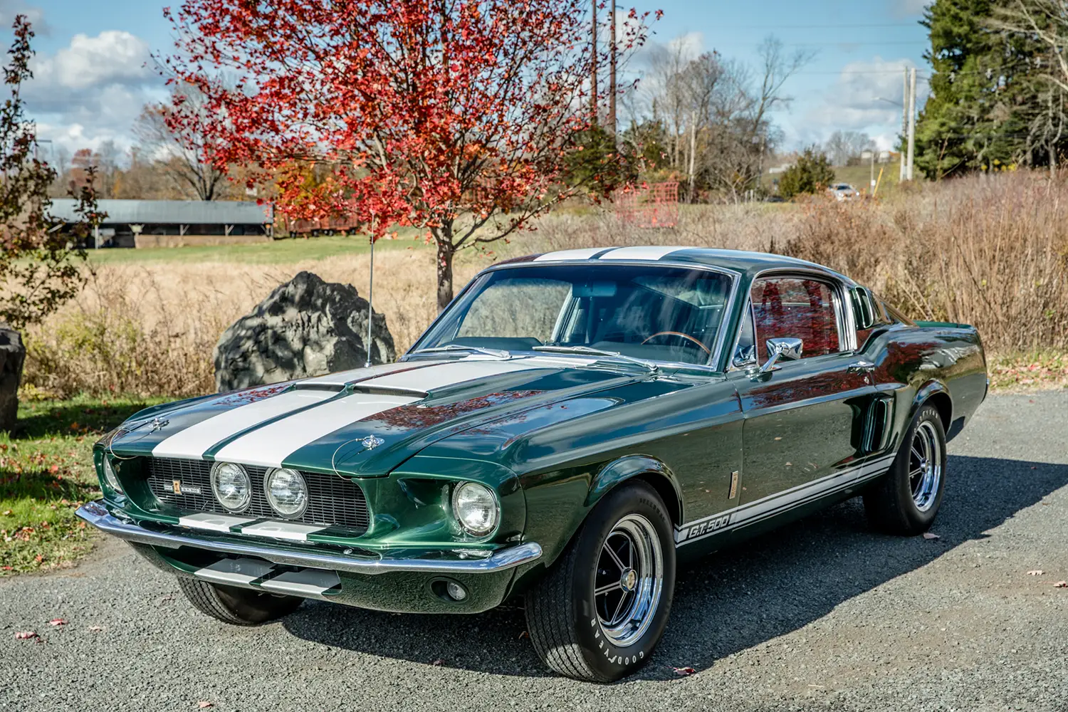 1967 Shelby Mustang GT500 1967 Shelby Mustang GT500
