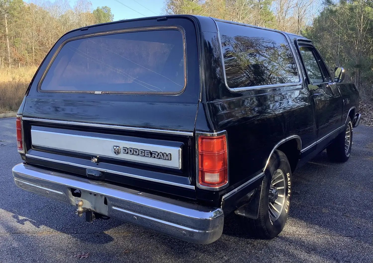 1988 Dodge Ramcharger LE