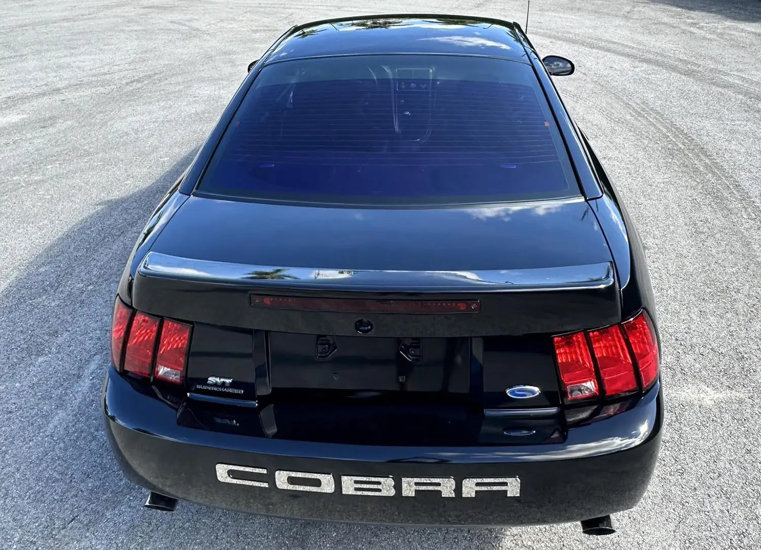 2004 Ford Mustang SVT Cobra Coupe 2004 Ford Mustang SVT Cobra Coupe