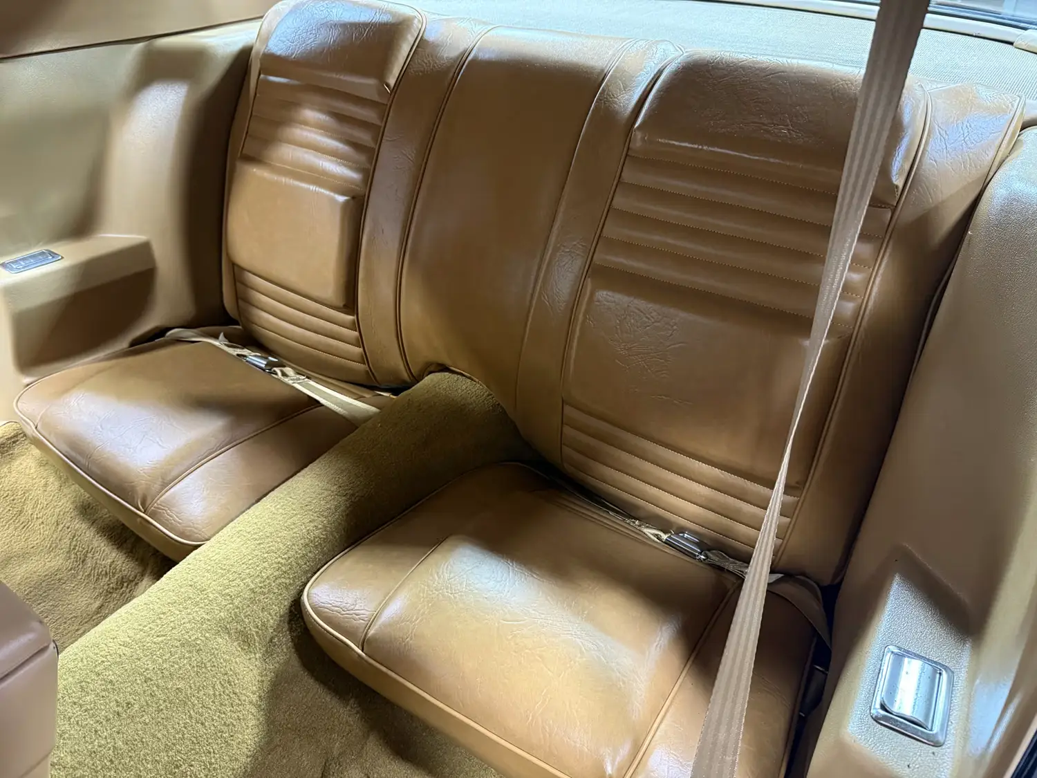 1981 Pontiac Trans Am