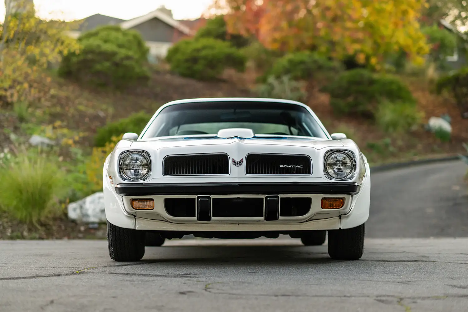 1974 Pontiac Trans Am SD-455 1974 Pontiac Trans Am SD-455