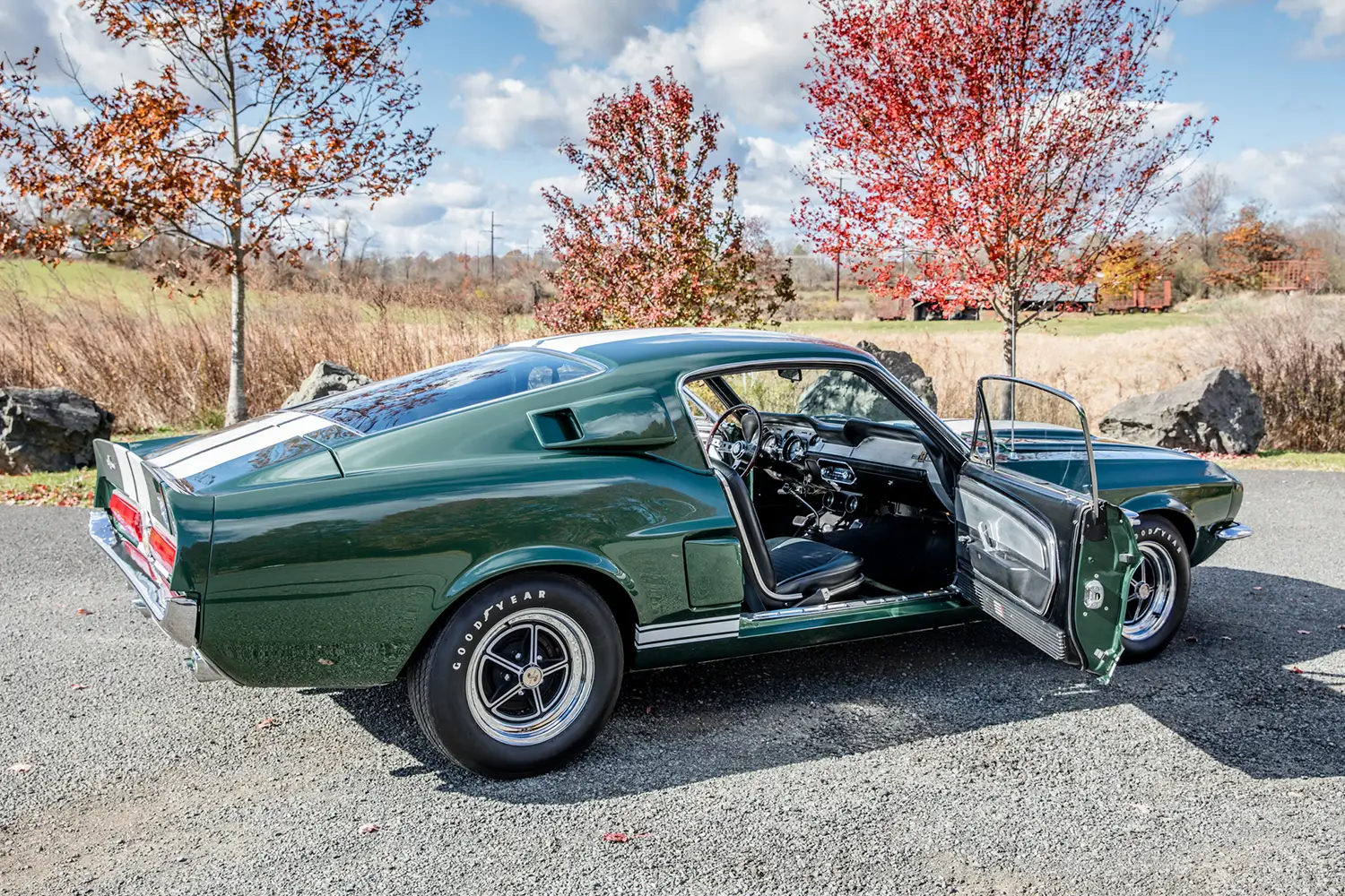 1967 Shelby Mustang GT500 1967 Shelby Mustang GT500