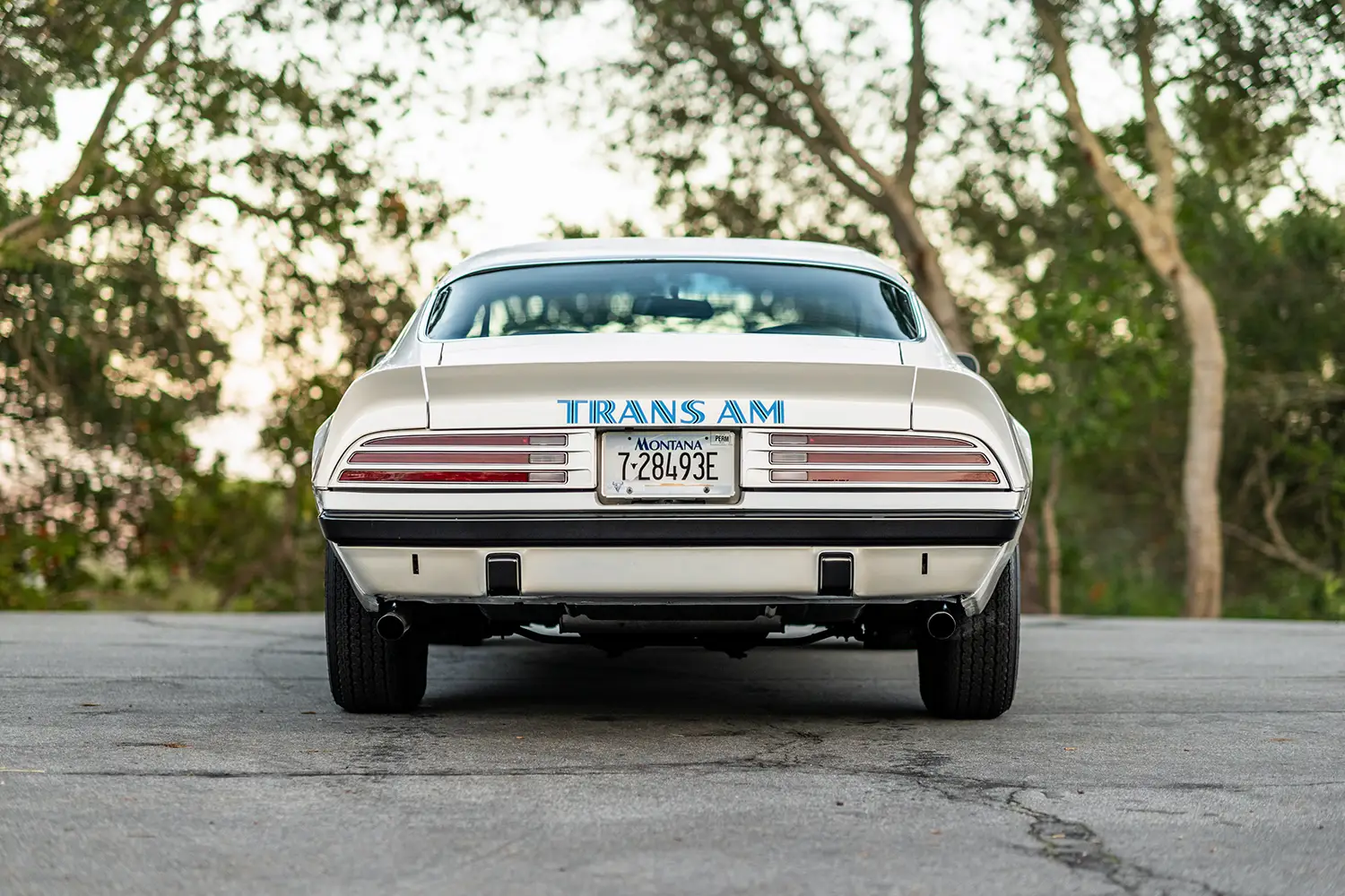 1974 Pontiac Trans Am SD-455 1974 Pontiac Trans Am SD-455