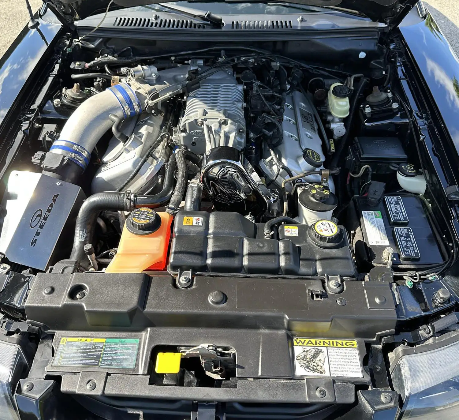 2004 Ford Mustang SVT Cobra Coupe 2004 Ford Mustang SVT Cobra Coupe