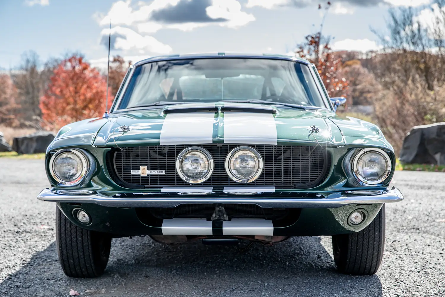 1967 Shelby Mustang GT500 1967 Shelby Mustang GT500