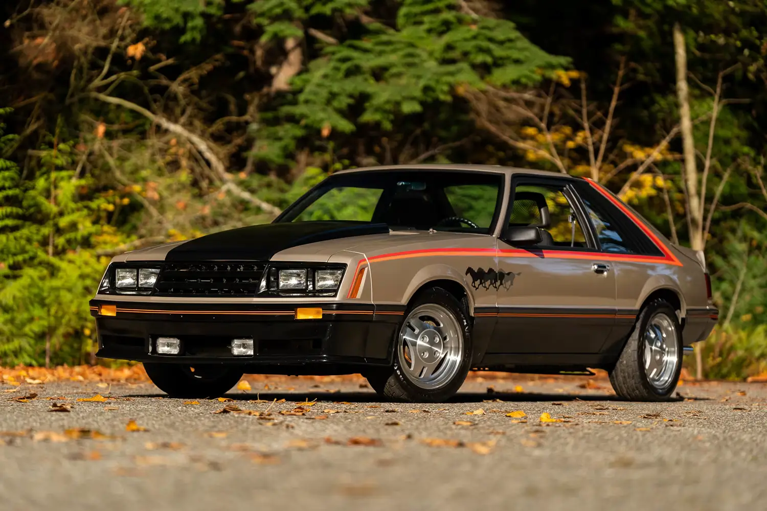 1979 Ford Mustang Pace Car Edition
