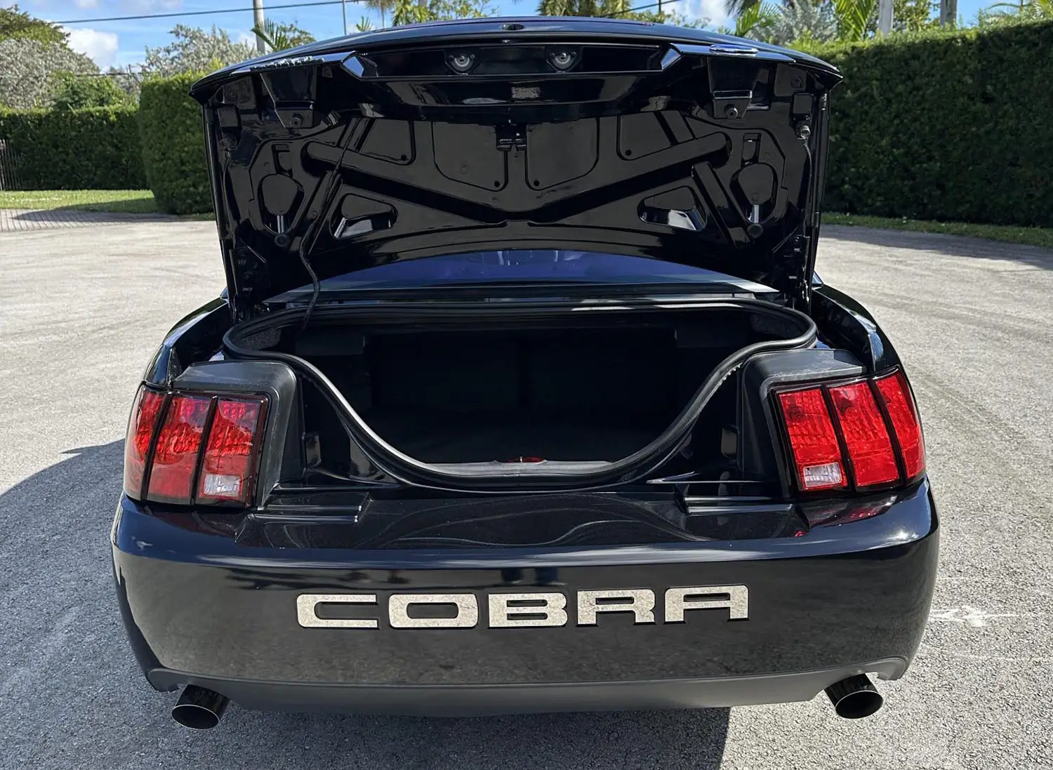 2004 Ford Mustang SVT Cobra Coupe 2004 Ford Mustang SVT Cobra Coupe