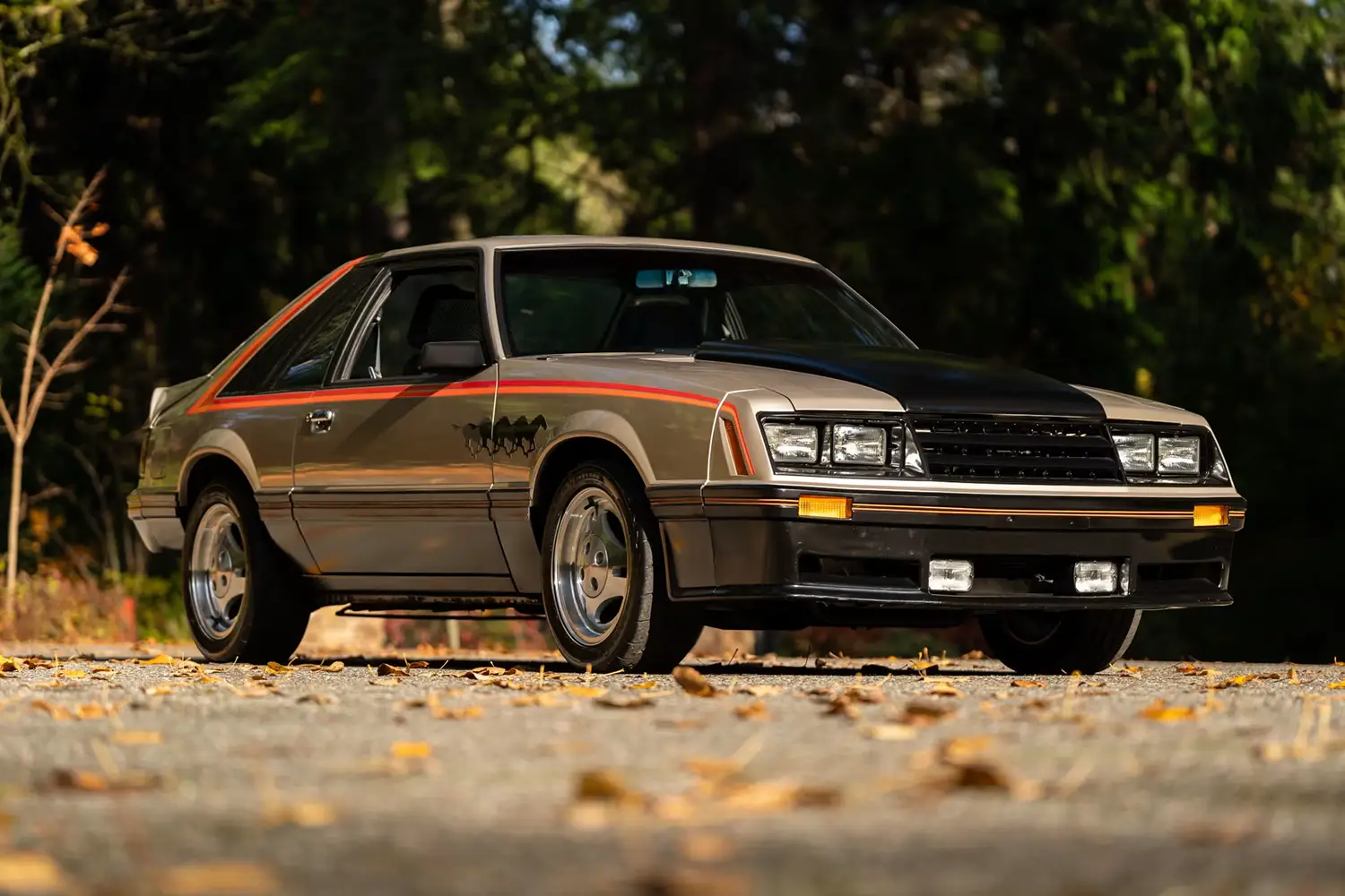 1979 Ford Mustang Pace Car Edition