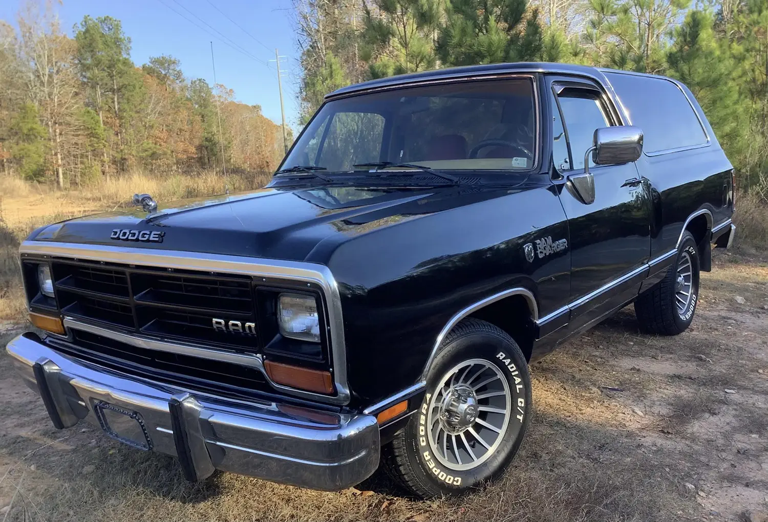 1988 Dodge Ramcharger LE