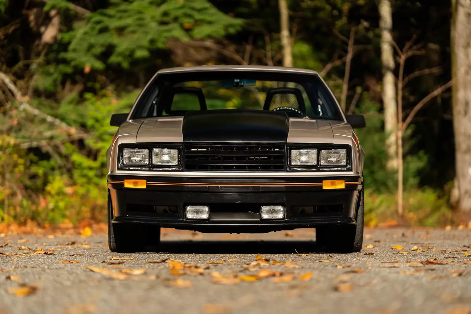 1979 Ford Mustang Pace Car Edition