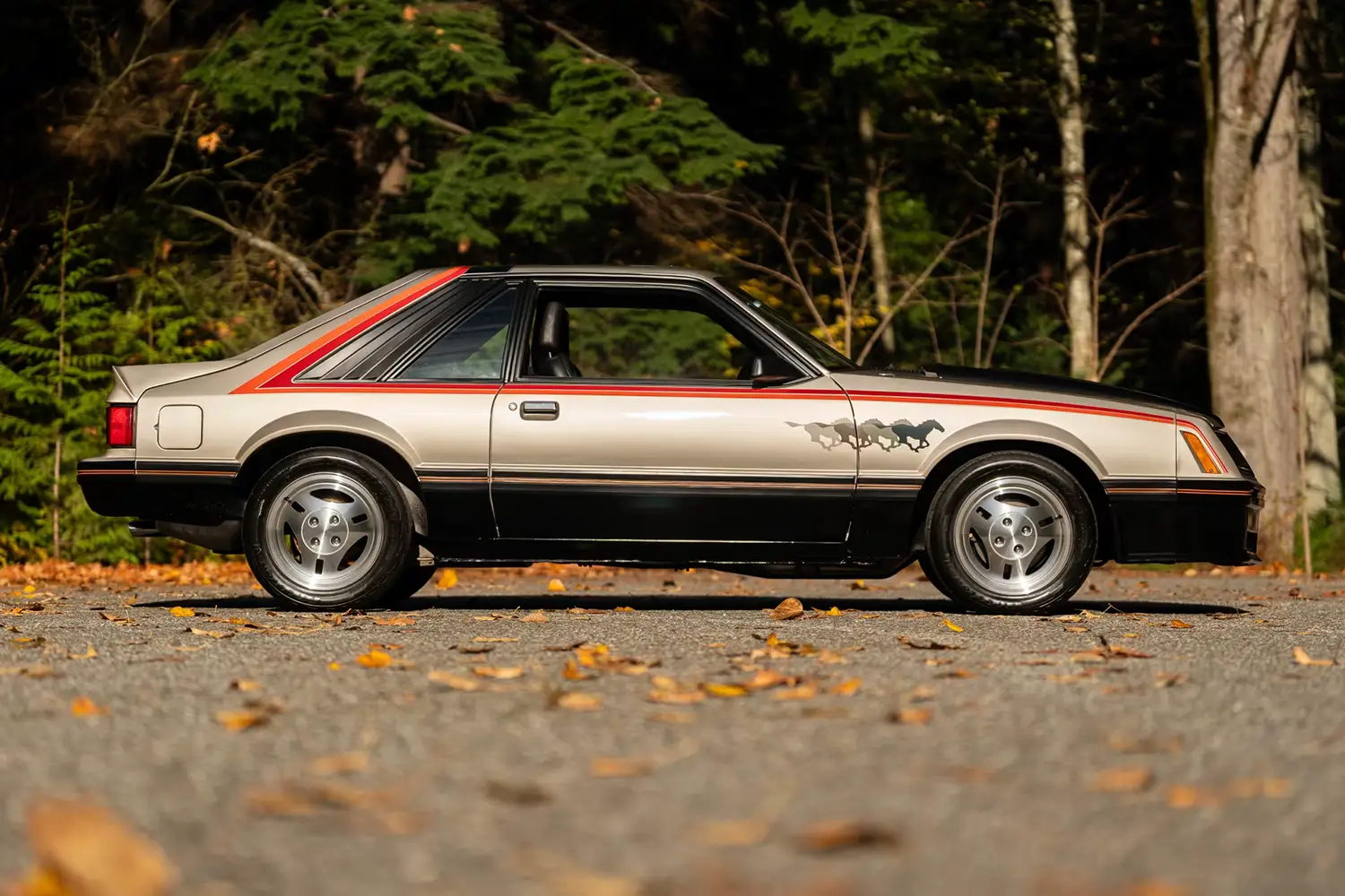 1979 Ford Mustang Pace Car Edition