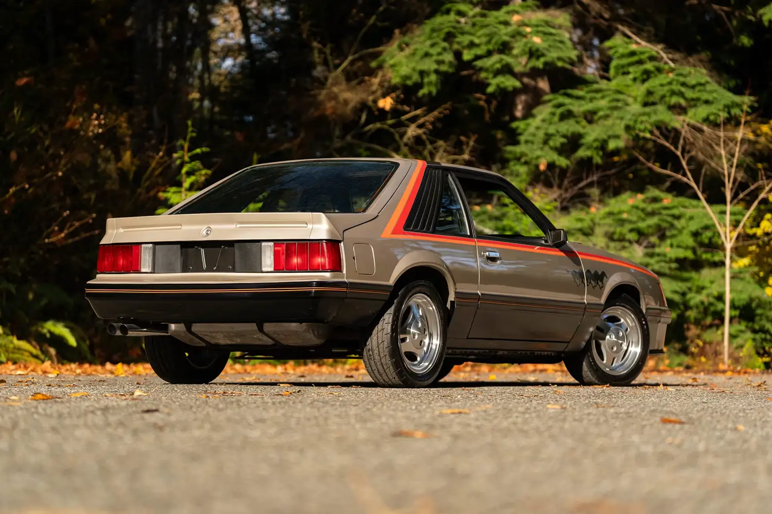 1979 Ford Mustang Pace Car Edition