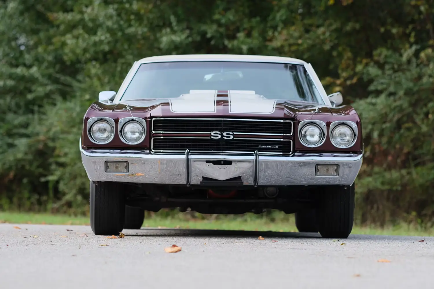 1970 Chevrolet Chevelle SS 1970 Chevrolet Chevelle SS