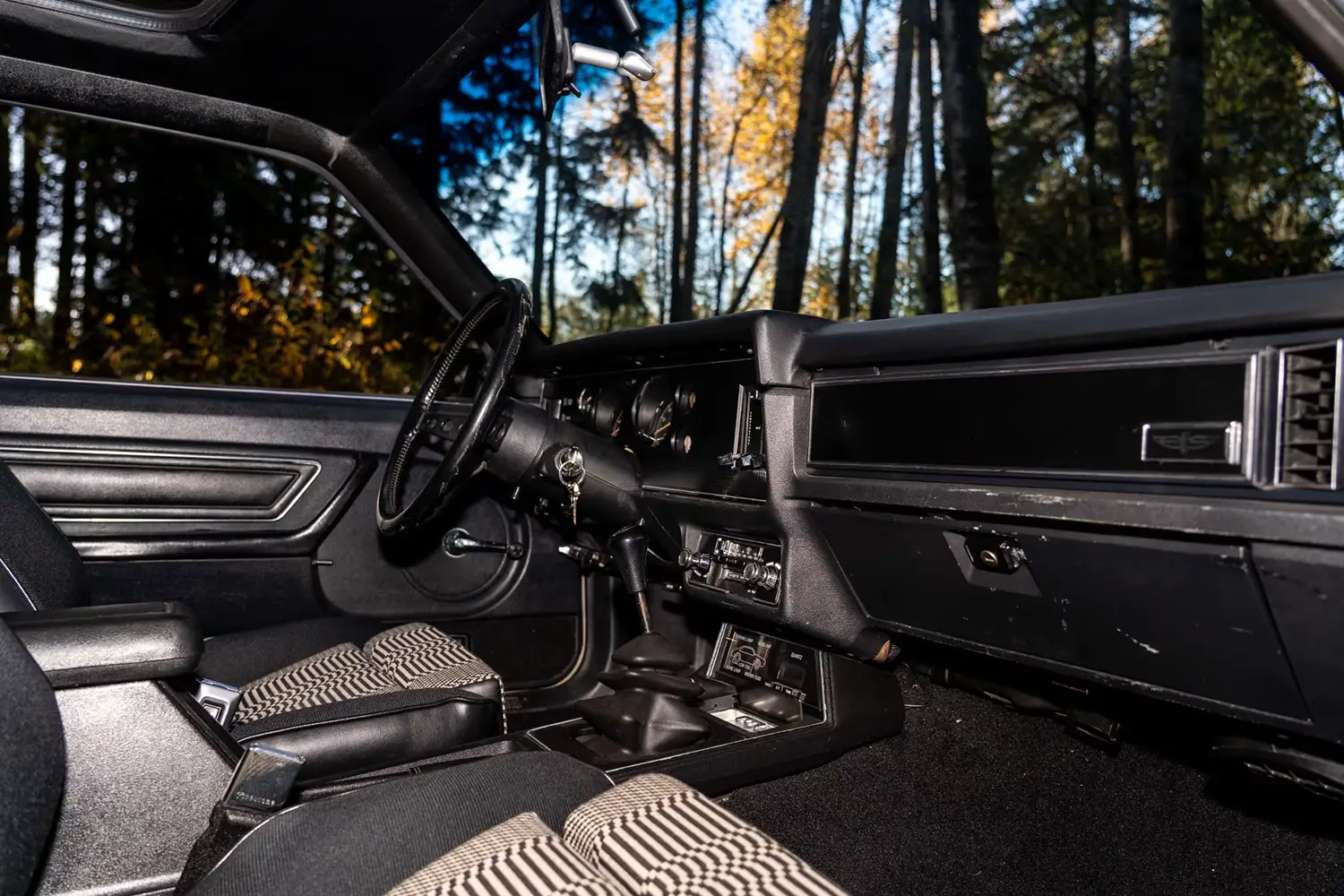 1979 Ford Mustang Pace Car Edition