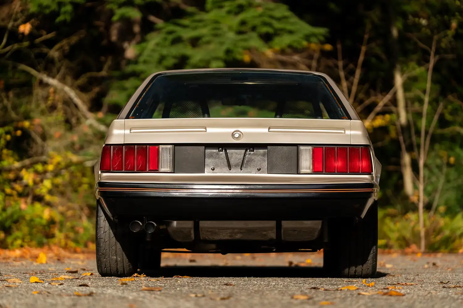 1979 Ford Mustang Pace Car Edition