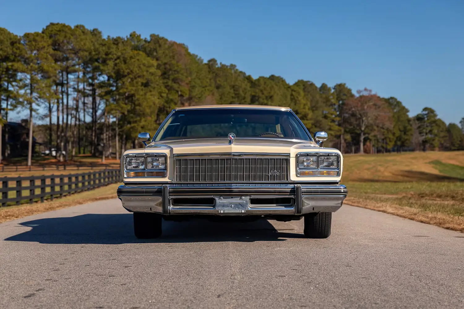 1976 Buick Limited 1976 Buick Limited
