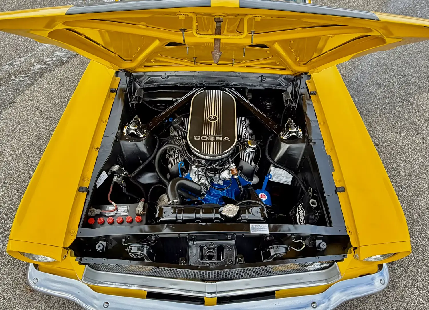 1965 Ford Mustang Fastback 1965 Ford Mustang Fastback