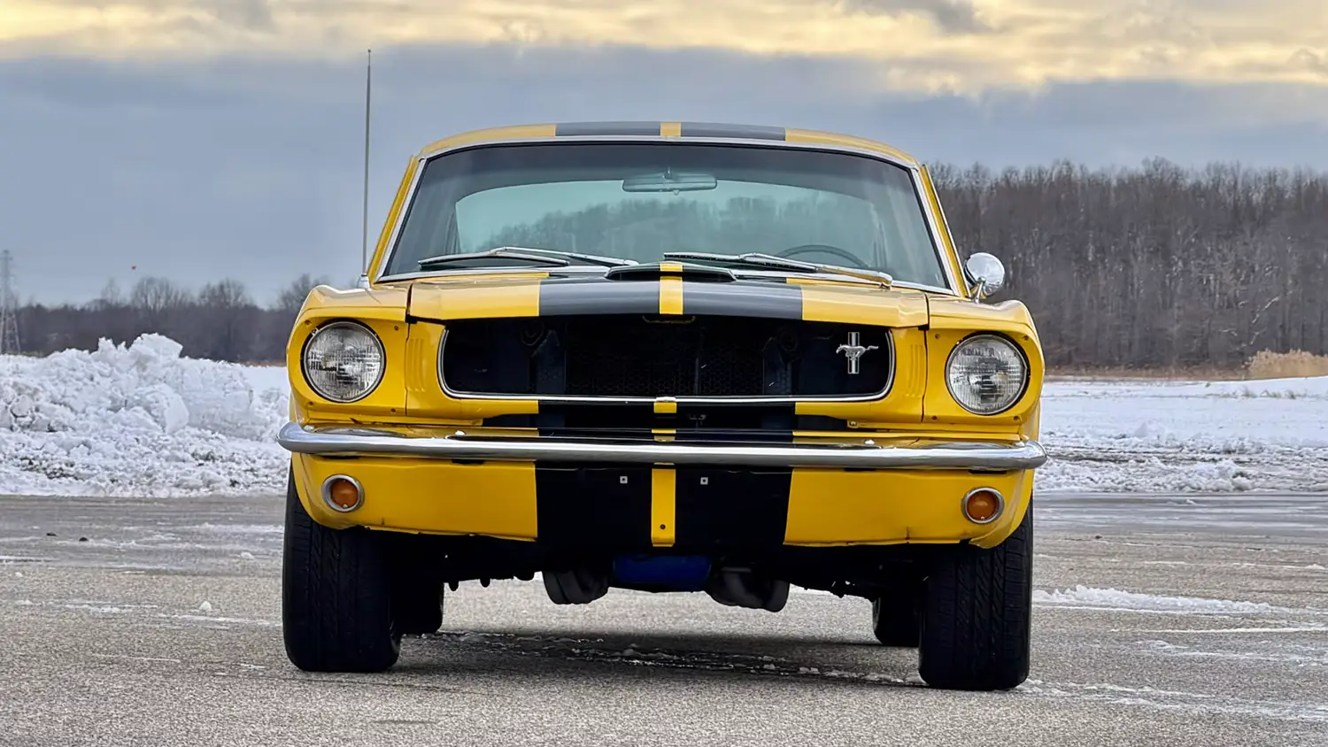 1965 Ford Mustang Fastback 1965 Ford Mustang Fastback