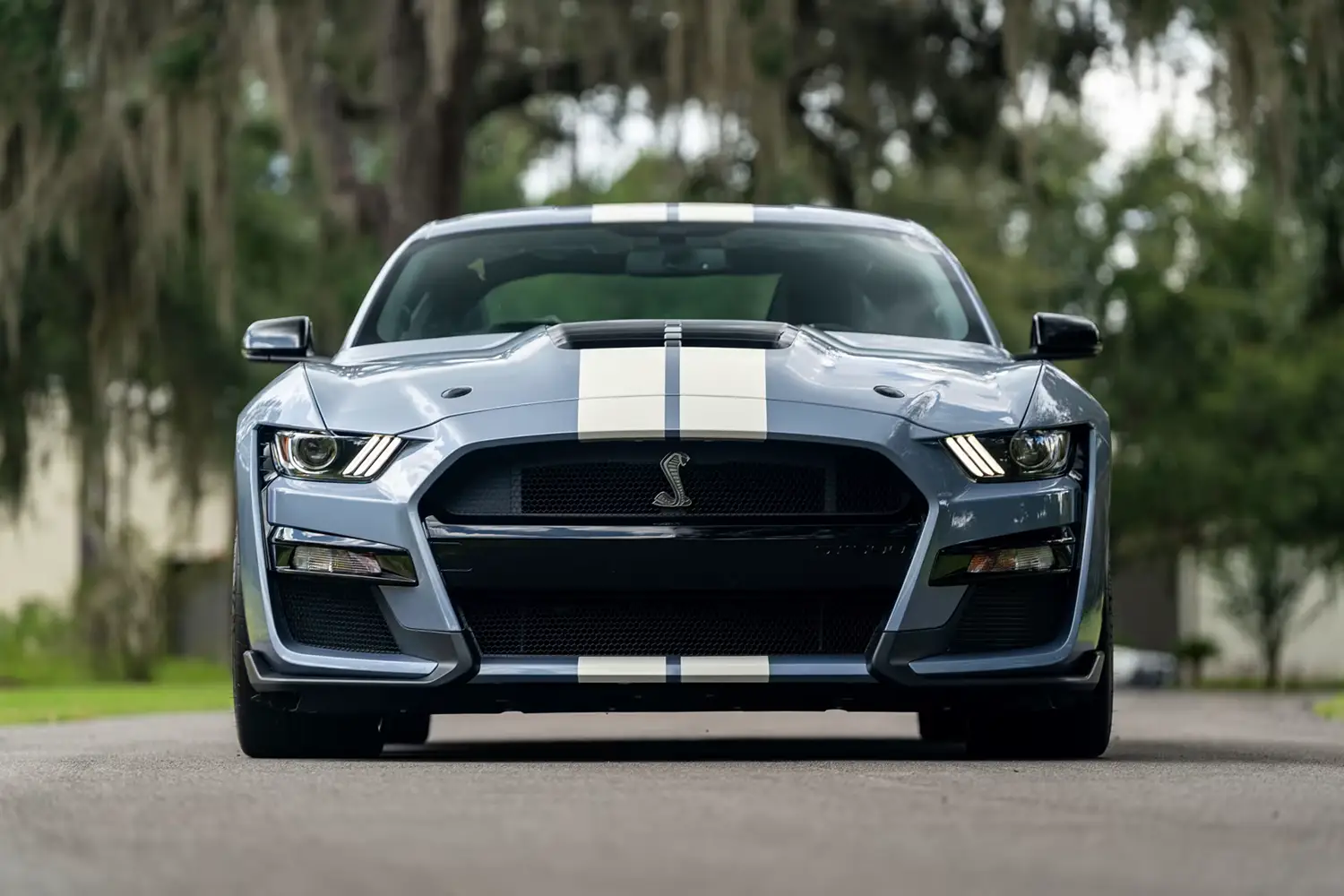 2022 Ford Shelby GT500 Heritage Edition