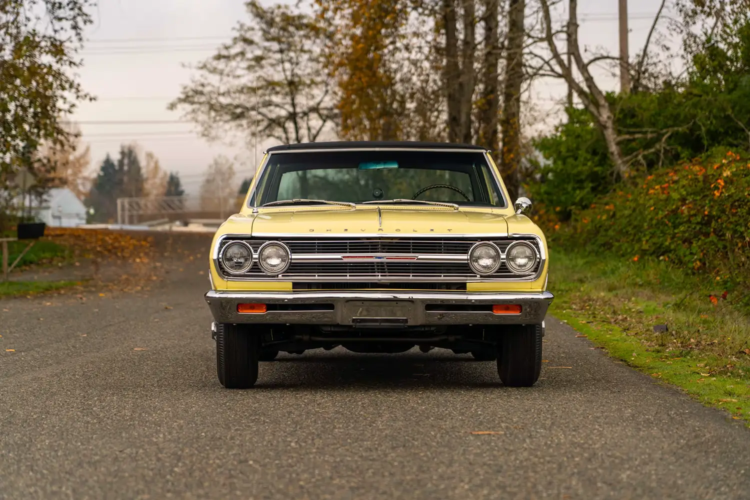 1965 Chevrolet Chevelle Z16